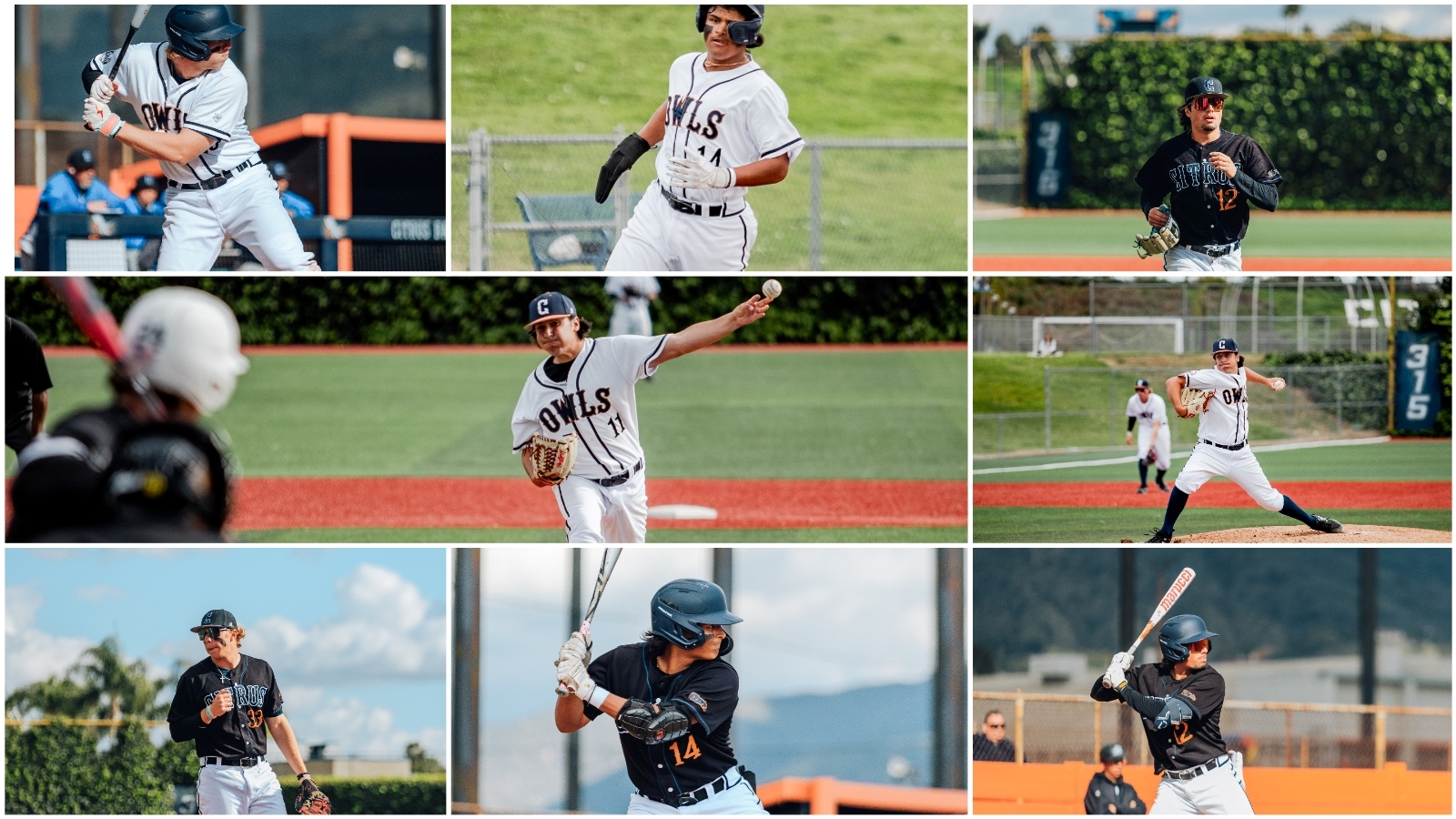 Four Owls Will Continue Their Collegiate Careers