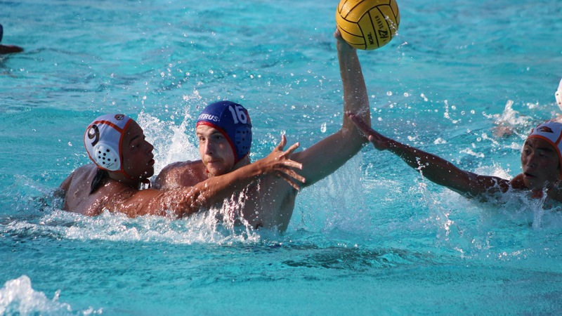 Ian Tauer had six goals and three assists to lift the Owls into the WSC Tournament semifinals.