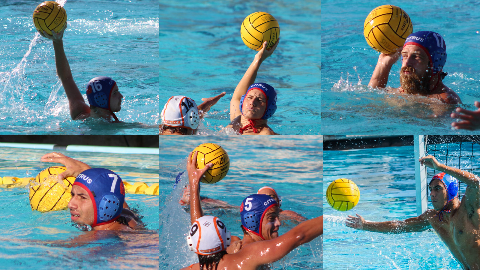 Six Owls earned All-WSC honors.