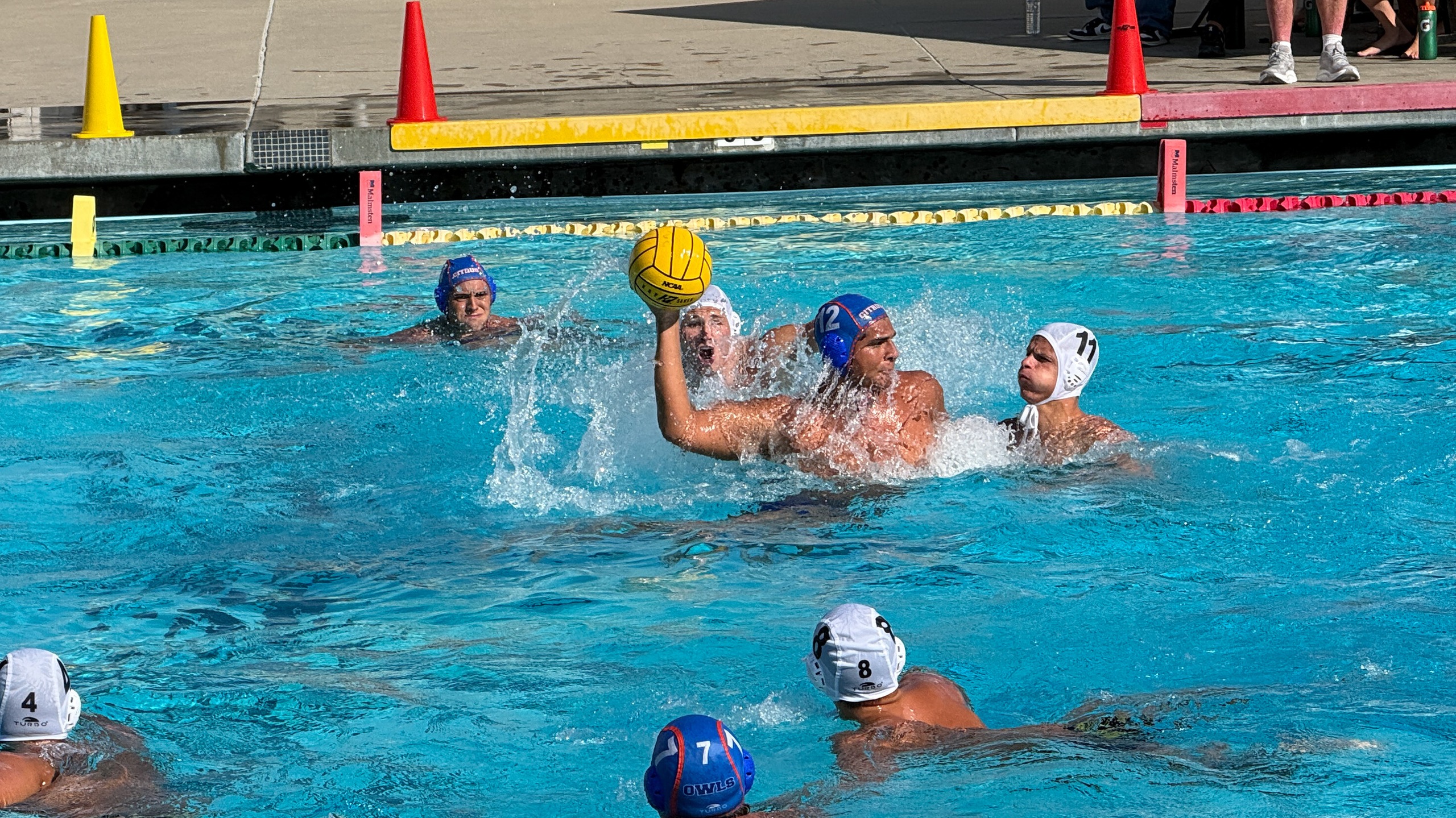 Owls Look to Bounce Back as They Host Riverside Tournament at Home