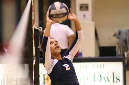 Freshman Amanda Stone led the Owls over the Wildcats on Wednesday night with 16 assists.