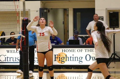 Women's Volleyball Hopeful For Regional Championship Bid